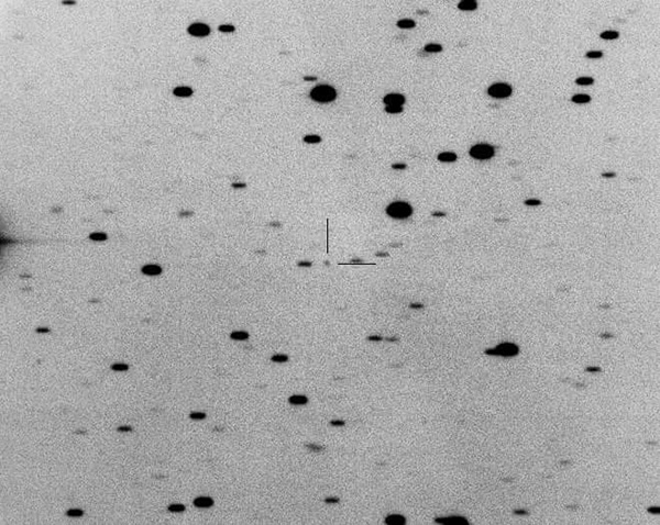 モノクロの小惑星ムサシフチュウを撮影した画像。白い空に黒い点のように星が撮影されている。