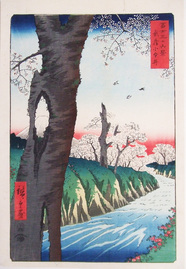 小金井桜を描いた浮世絵