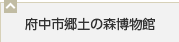 府中市郷土の森博物館