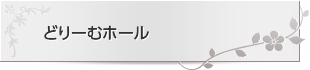 どりーむホール　客席図