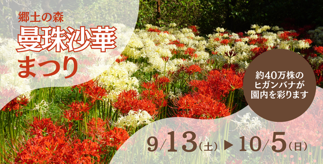 2025年曼珠沙華まつり