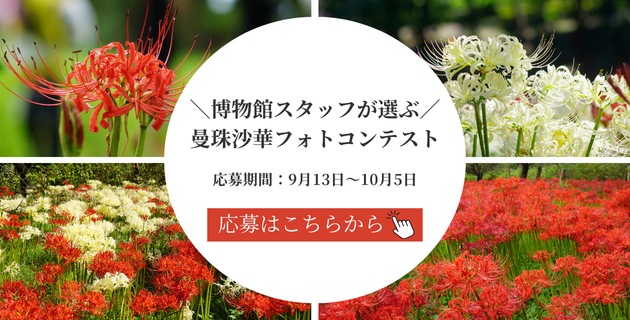 曼珠沙華フォトコンテストの応募はこちらから