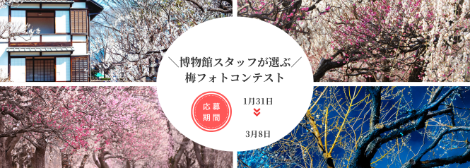 梅まつりフォトコンテスト