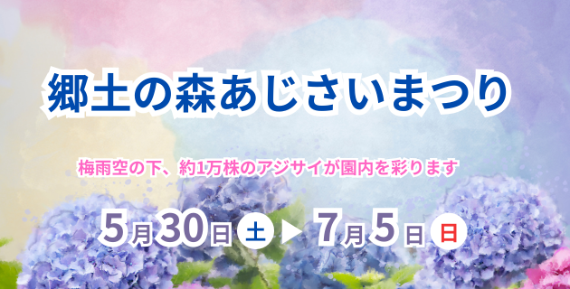 2026年郷土の森博物館あじさいまつり