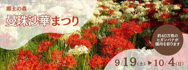2026年曼珠沙華まつり