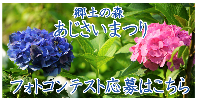 あじさいフォトコンテストについて