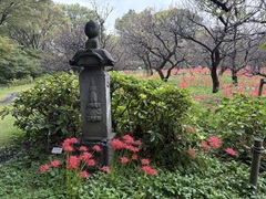 花の開花状況はこちら