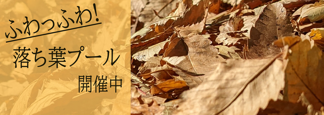 落ち葉プール開催中