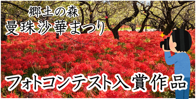 曼珠沙華まつりフォトコンテスト入賞作品紹介