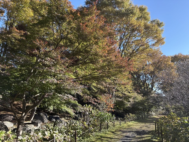 ハケ下の流れの写真