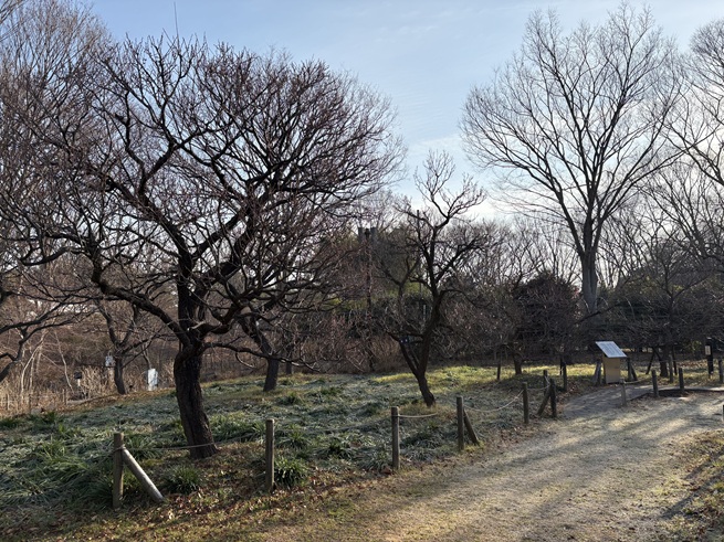 平右衛門広場の写真