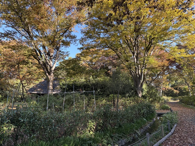 旧越智家住宅の写真