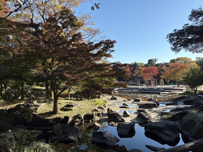 水遊びの池の写真