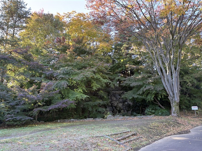 モミジの滝の写真