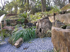 写真：わんぱく砦の太古の樹木化石2