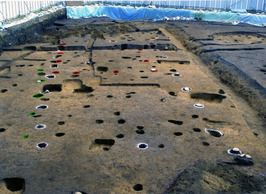写真：発掘された掘立柱建物跡