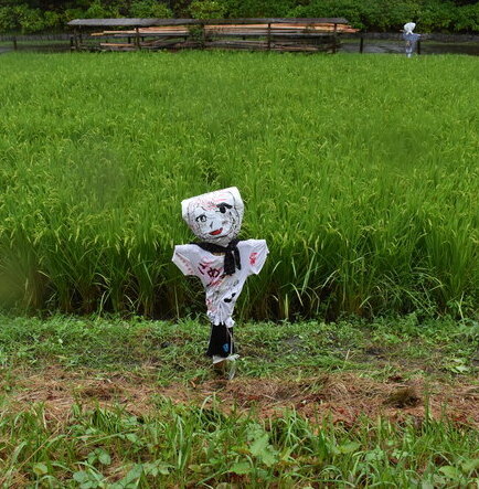 かかし12