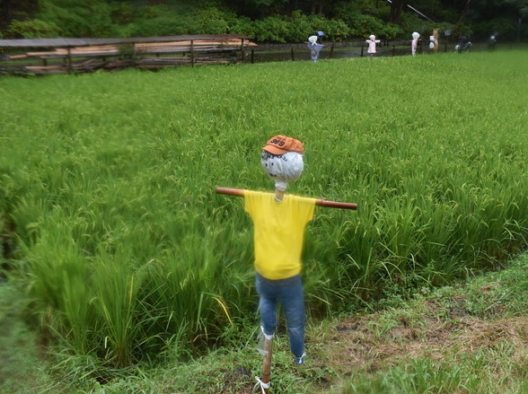 かかし15