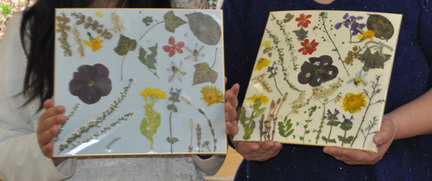 写真：押し花教室初春編の作品