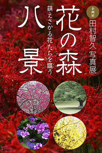 花の森八景写真