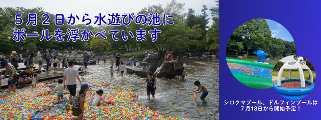 水遊びの池