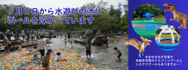 水遊びの池