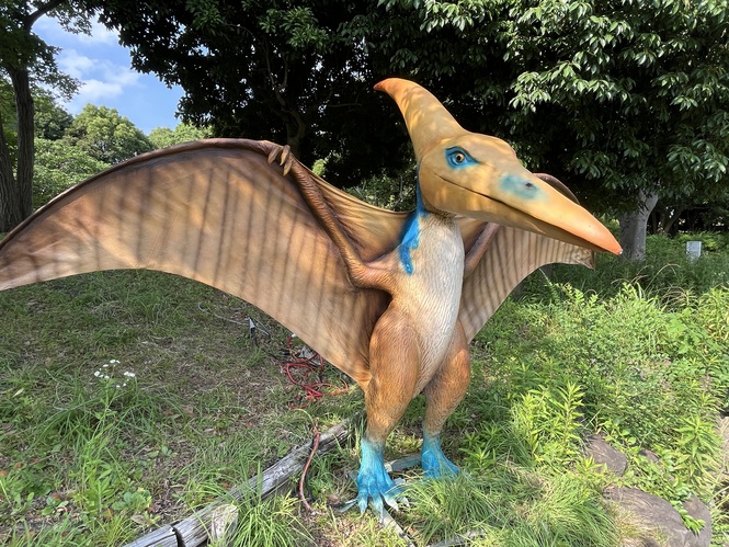 プテラノドン