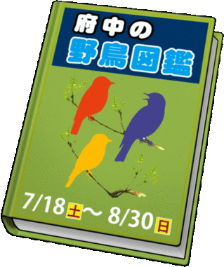  野鳥図鑑画像