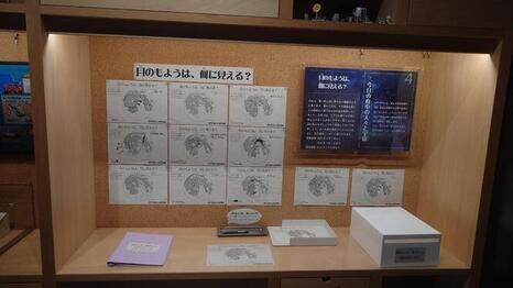 天文展示コーナー「月のもようは何に見える？」展示風景