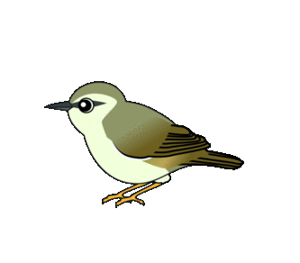 ウグイスのイラスト