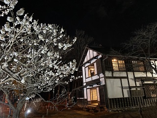 ライトアップの写真