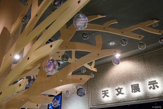 宇宙樹のアップ