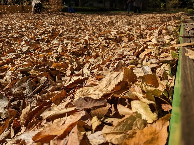 ボールプールの画像