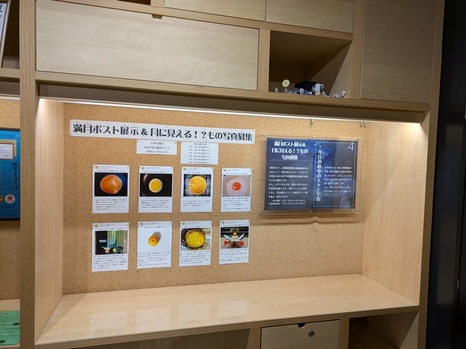 「満月ポスト＆月に見える！？もの写真募集」展示風景