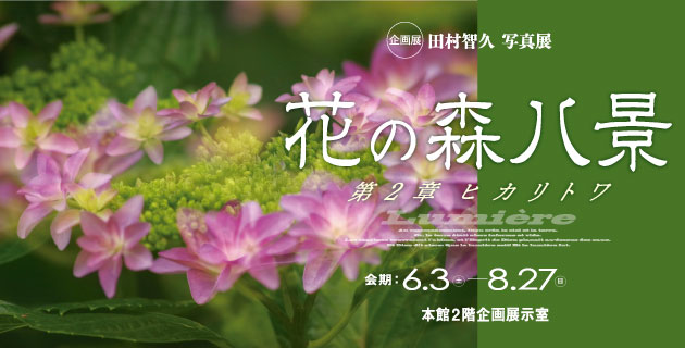 企画展「企画展「田村智久写真展　花の森八景第2章ヒカリトワ」6月3日（土曜日）～8月27日（日曜日）