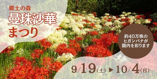 タイトル画像