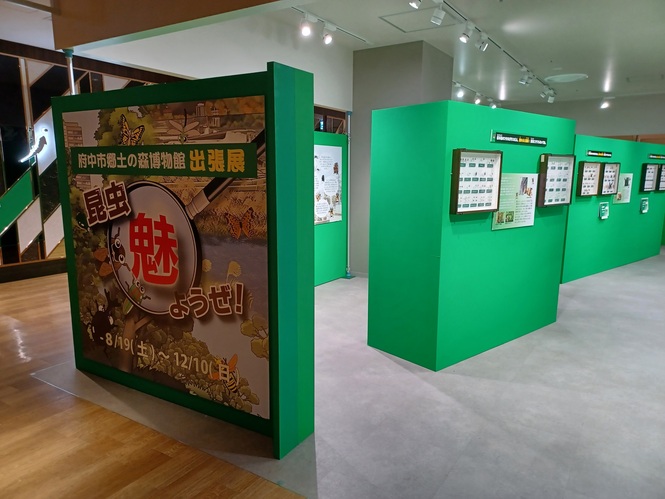 展示会場写真