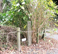 道標の写真
